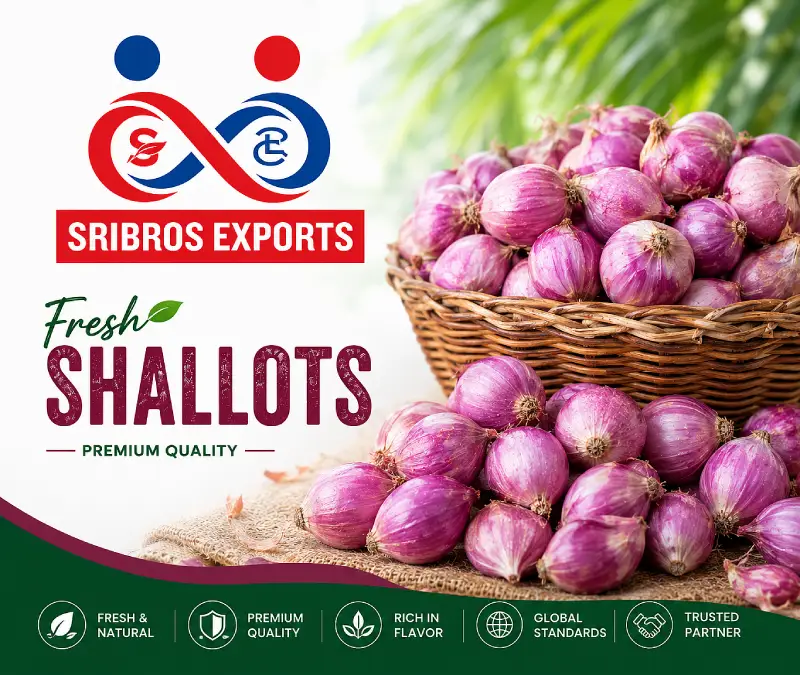 Fresh Shallots