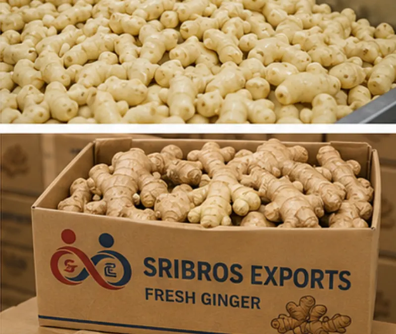 Fresh Ginger View 4